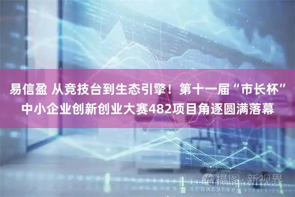易信盈 从竞技台到生态引擎！第十一届“市长杯”中小企业创新创业大赛482项目角逐圆满落幕