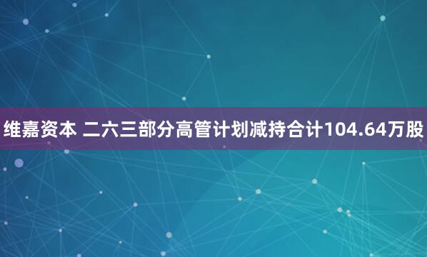 维嘉资本 二六三部分高管计划减持合计104.64万股