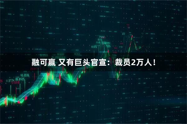 融可赢 又有巨头官宣：裁员2万人！