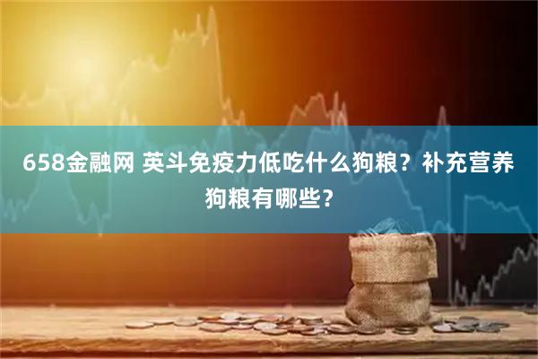 658金融网 英斗免疫力低吃什么狗粮？补充营养狗粮有哪些？